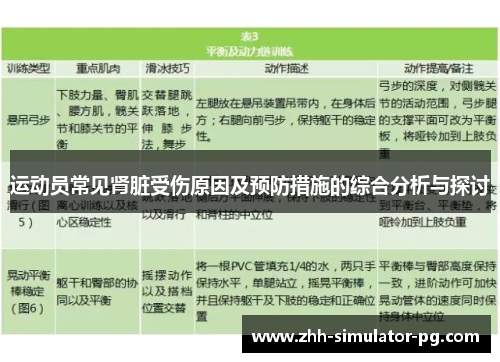 运动员常见肾脏受伤原因及预防措施的综合分析与探讨