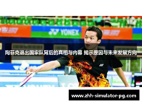 陶菲克退出国家队背后的真相与内幕 揭示原因与未来发展方向